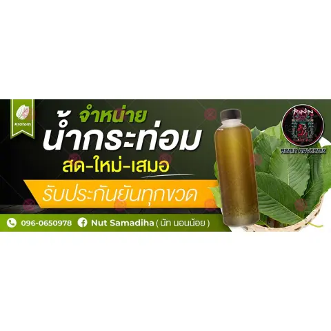 ป้ายไวนิล จำหน่ายน้ำกระท่อม หน้าร้าน